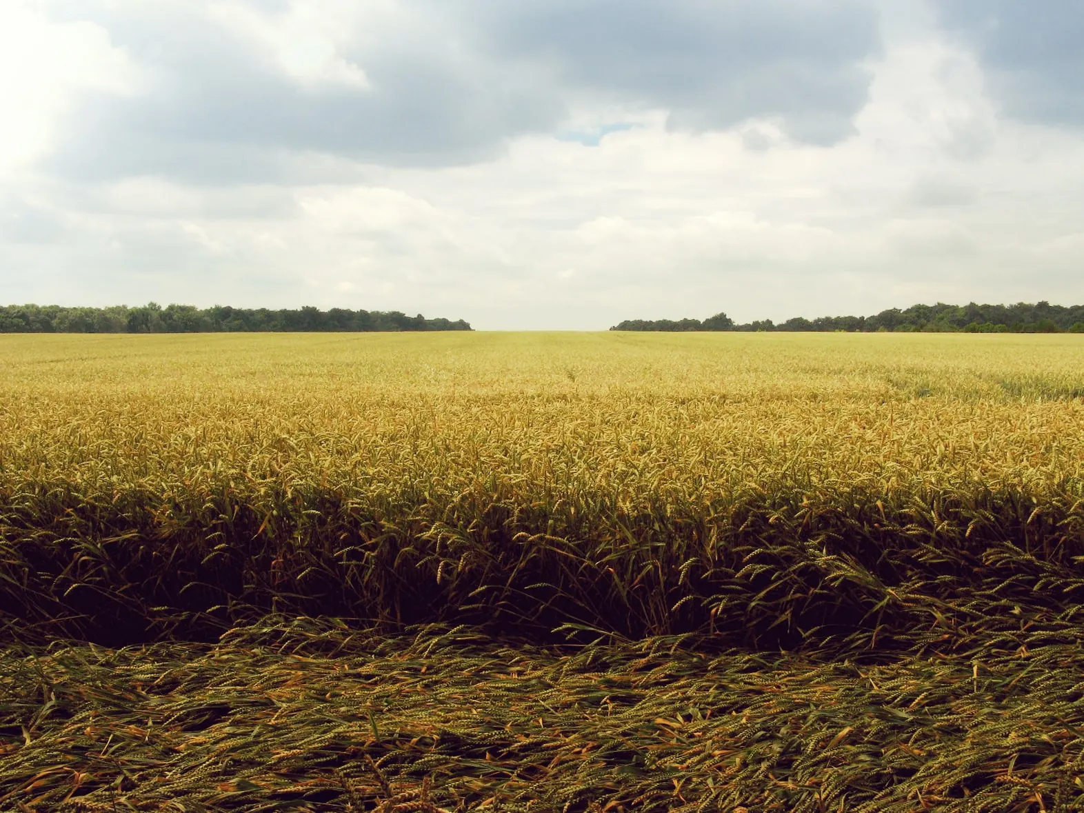 Open farmland in the South East